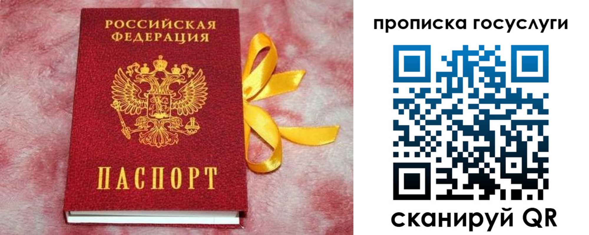 прописка законно в Гусеве